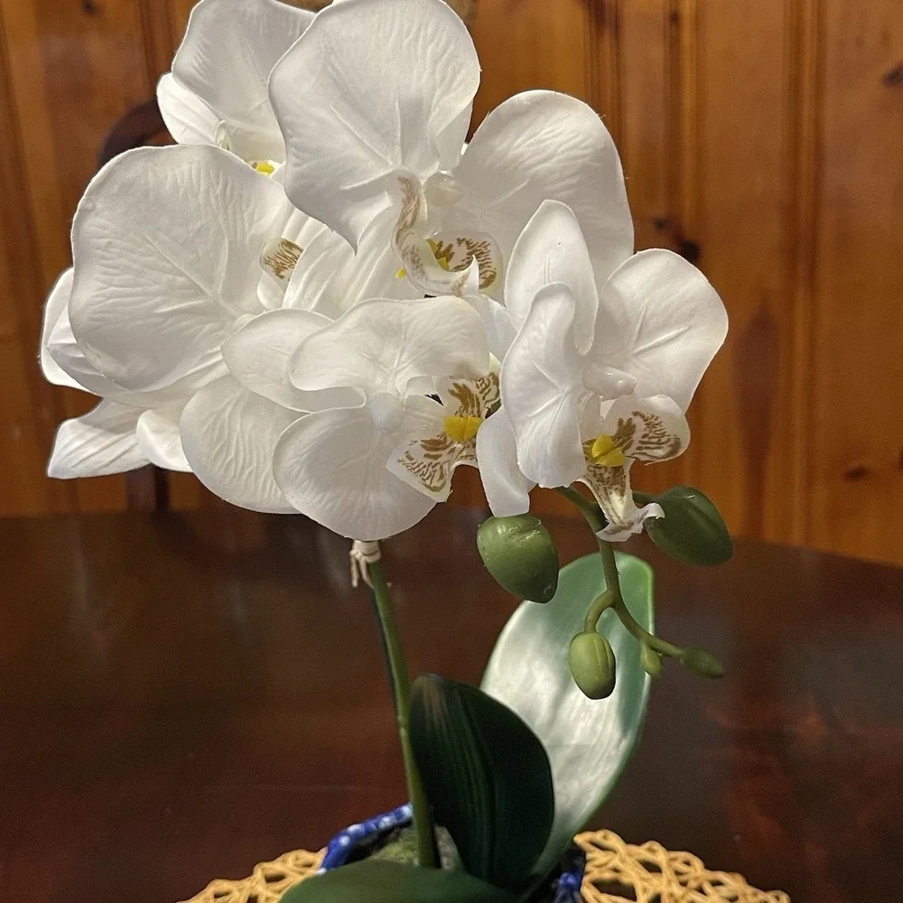 Flowers by Zoe faux white